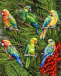 Designocracy Holiday Wooden Clip-On Ornaments Parrots Set of 6 G. DeBrekht
