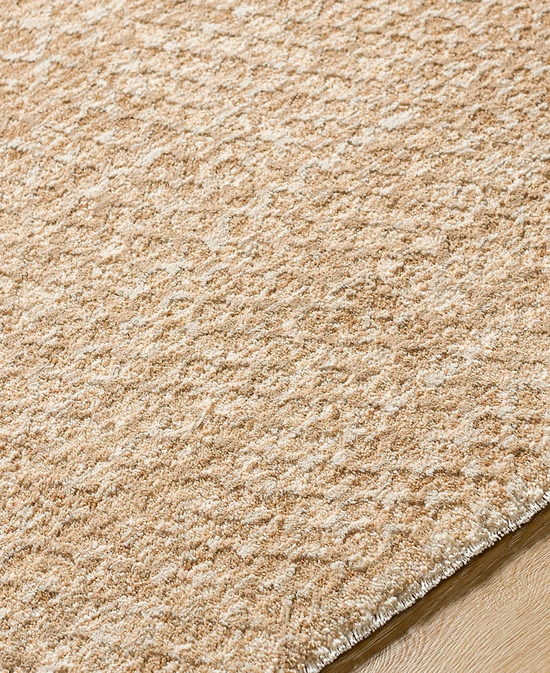 Livabliss Masterpiece High-Low Mpc-2302 2' x 2'11" Area Rug