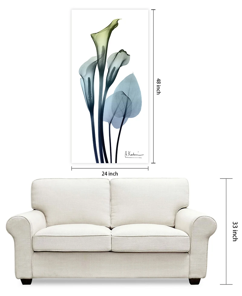 Empire Art Direct "CaLIa LIly" Frameless Free Floating Tempered Glass Panel Graphic Wall Art, 48" x 24" x 0.2"