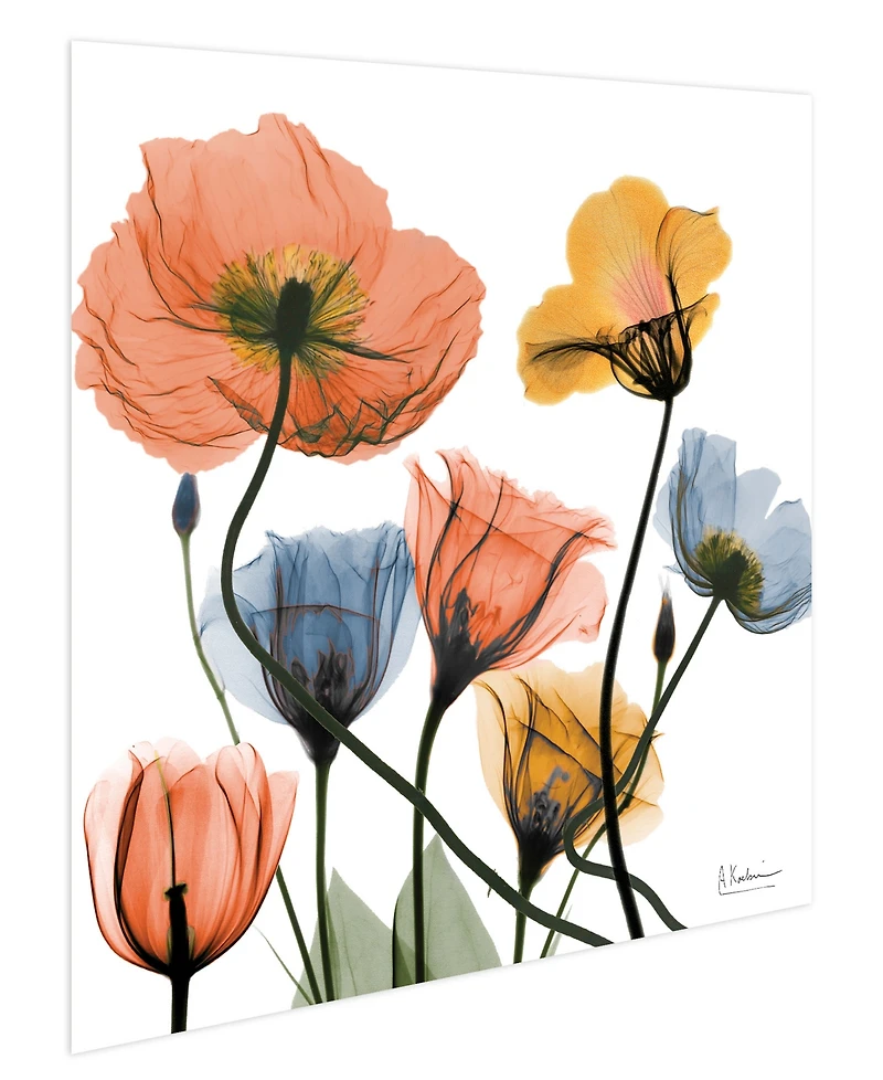 Empire Art Direct "Flowers and Ferns" Frameless Free Floating Tempered Glass Panel Graphic Wall Art, 24" x 24" x 0.2"