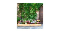 Wooden Vegetable Raised Garden Bed for Backyard Patio Balcony