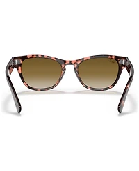 Ray-Ban Unisex Laramie Sunglasses, Gradient RB2201
