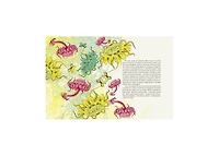 Entangled Life- The Illustrated Edition- How Fungi Make Our Worlds by Merlin Sheldrake