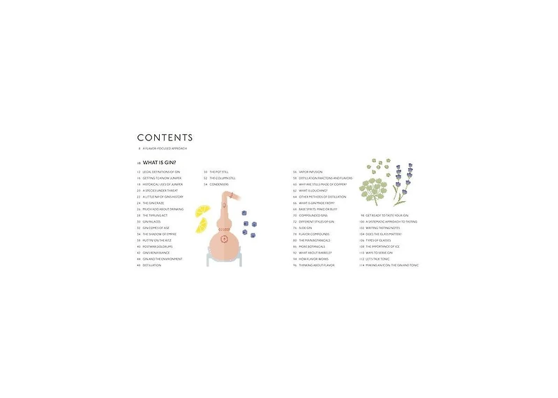 Gin A Tasting Course- A Flavor-focused Approach to the World of Gin by Anthony Gladman