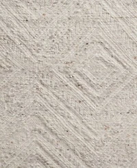 Loloi Raven Rav Area Rug