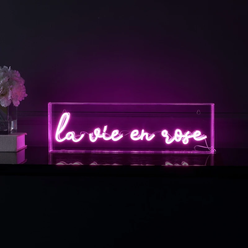 Jonathan Y La Vie En Rose Contemporary Glam Acrylic Box Usb Operated Led Neon Light