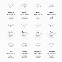 Constellation Zodiac - Silver