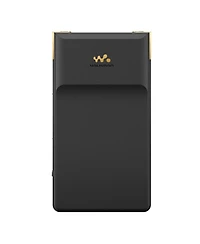 Sony Nw-ZX707 Walkman ZX Series Hi-Res Digital Music Player