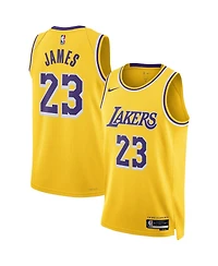 Men's and Women's Nike LeBron James Los Angeles Lakers Swingman Jersey