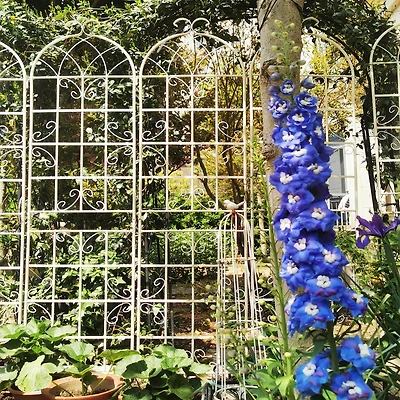 Streamdale Furniture Metal Garden Trellis 86.7" X 19.7" for Climbing Plants
