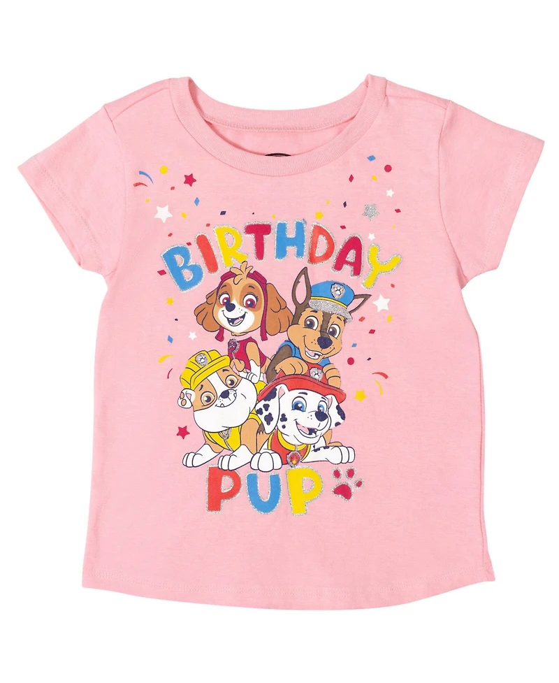 Paw Patrol Little Girls Skye Rubble Chase Marshall Birthday T-Shirt