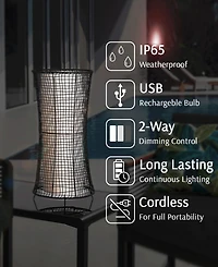 Lite Source Outdoor Cordless Cleavon Table Lamp