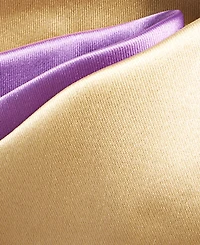 Tayion Collection Men's Purple & Gold Solid Tie