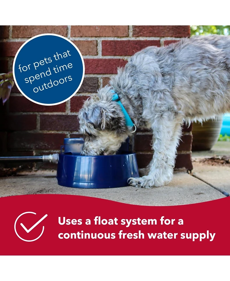 Coastal Pet Bergan Auto-Wata - Backyard & Patio Automatic Water Bowl for Cat, Dog and Other Pets - Navy - 1.5 qts / 48 oz.