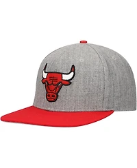 Men's Pro Standard Gray, Red Chicago Bulls Classic Logo Two-Tone Snapback Hat