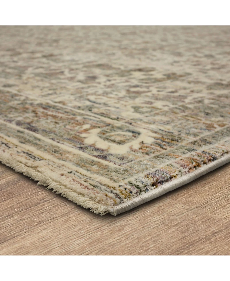Karastan Divina Bliss 2'6" x 7'10" Runner Area Rug