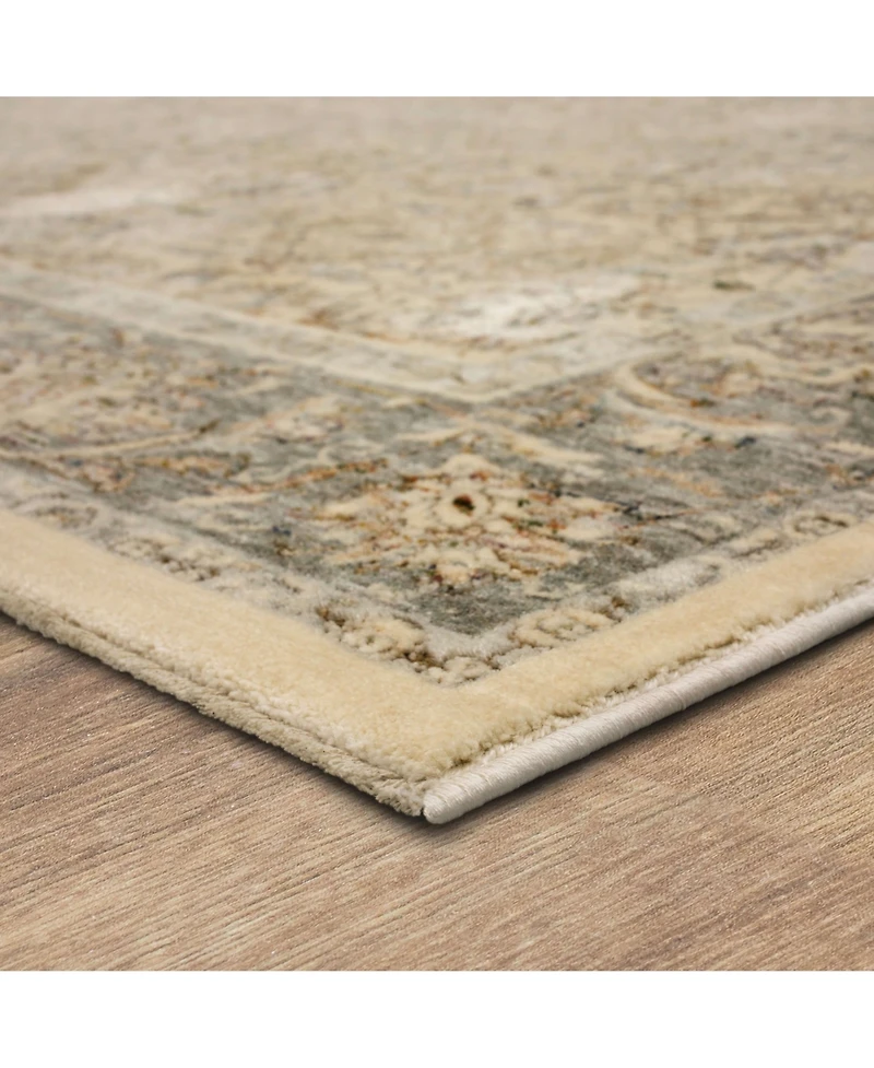 Karastan Divina Virtuous 2'6" x 7'10" Runner Area Rug