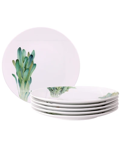 Noritake Kyoka Shunsai Assorted Dinner Plates 10.5" Set/6