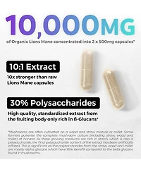 Usda Lions Mane 10:1 Extract - High Strength 30% Polysaccharides - for Energy, Memory and Focus