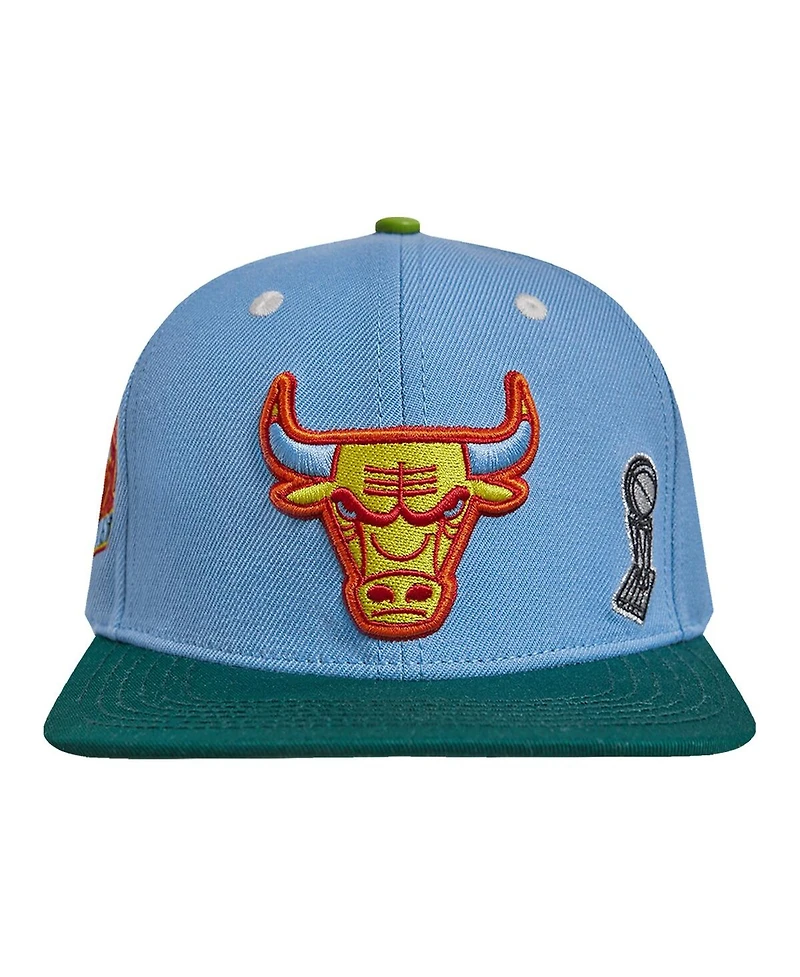 Men's Pro Standard Light Blue, Green Chicago Bulls Retro Program 2-Tone Snapback Hat