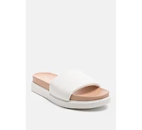 Moulded Pool Slides