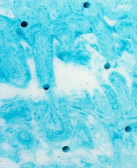 Therapedic Premier 2" Restorative Gel Memory Foam Mattress Topper, Full, Exclusively at Macy's
