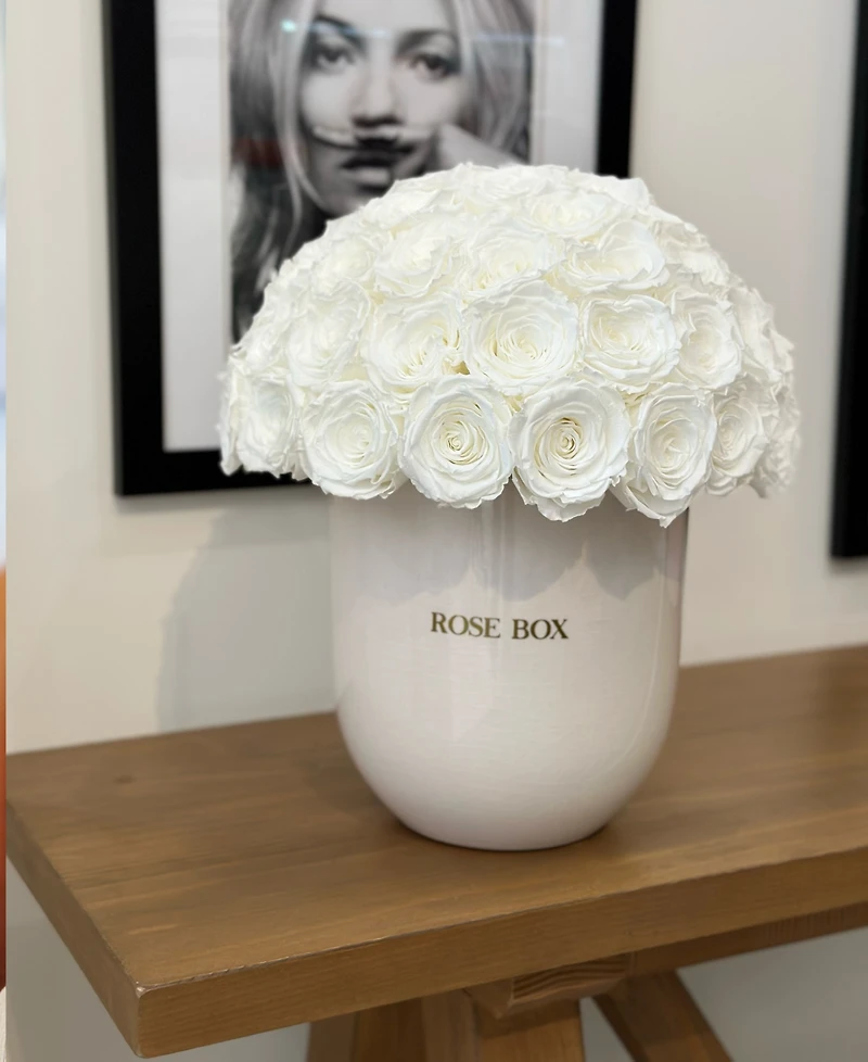 Rose Box Nyc Half Ball of Pure White Long Lasting Preserved Real Roses in Premium Ceramic Vase, 50-55 Roses