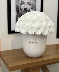 Rose Box Nyc Half Ball of Pure White Long Lasting Preserved Real Roses in Premium Ceramic Vase, 50-55 Roses
