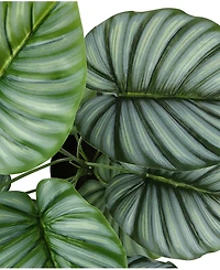 Monarch Specialties 24" Indoor Artificial Calathea Plant with Decorative Black Pot