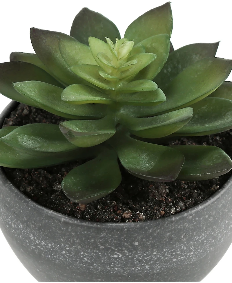 Monarch Specialties 6" Indoor Artificial Succulent Plants with Decorative Grey Cement Pots, Set Of 3