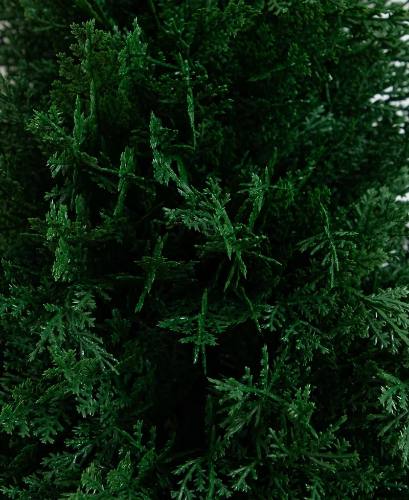 Nearly Natural 2.5ft. Uv Resistant Artificial Cedar Plant with Integrated Ground Stake Indoor/Outdoor - Set of 2