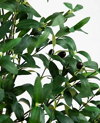 Nearly Natural 5ft. Artificial Olive Tree
