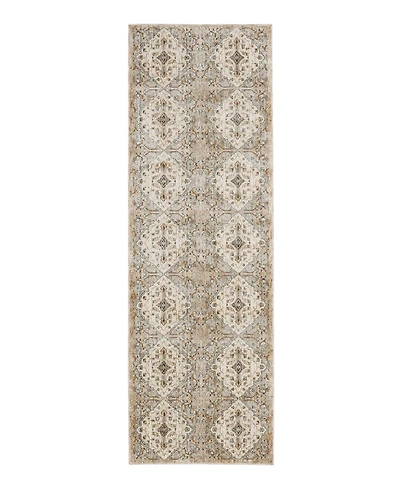 Karastan Divina Gloriana 2'6" x 7'10" Runner Area Rug