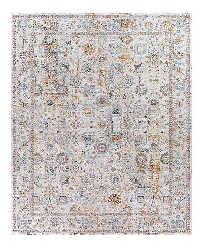 Livabliss Laila Laa-2317 7'10x10'3 Area Rug