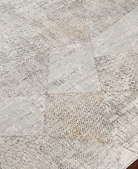 Livabliss Carmel Crl-2303 7'10x10' Area Rug