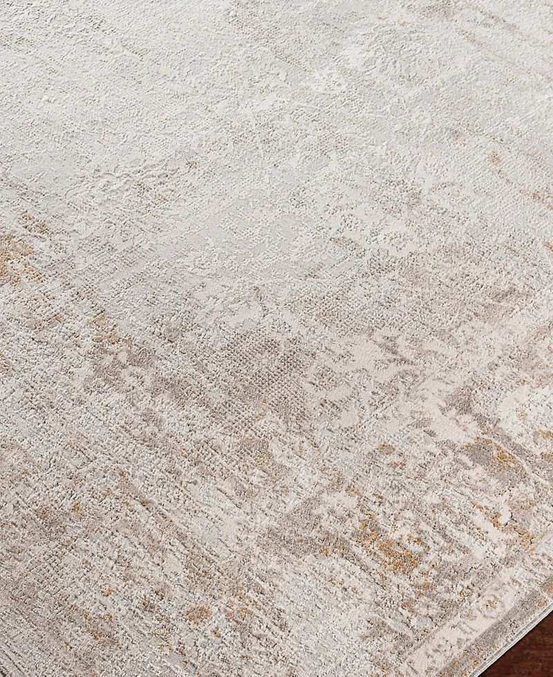 Livabliss Carmel Crl-2305 7'10x10' Area Rug