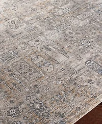 Livabliss Cardiff Cdf 2309 Rug Collection