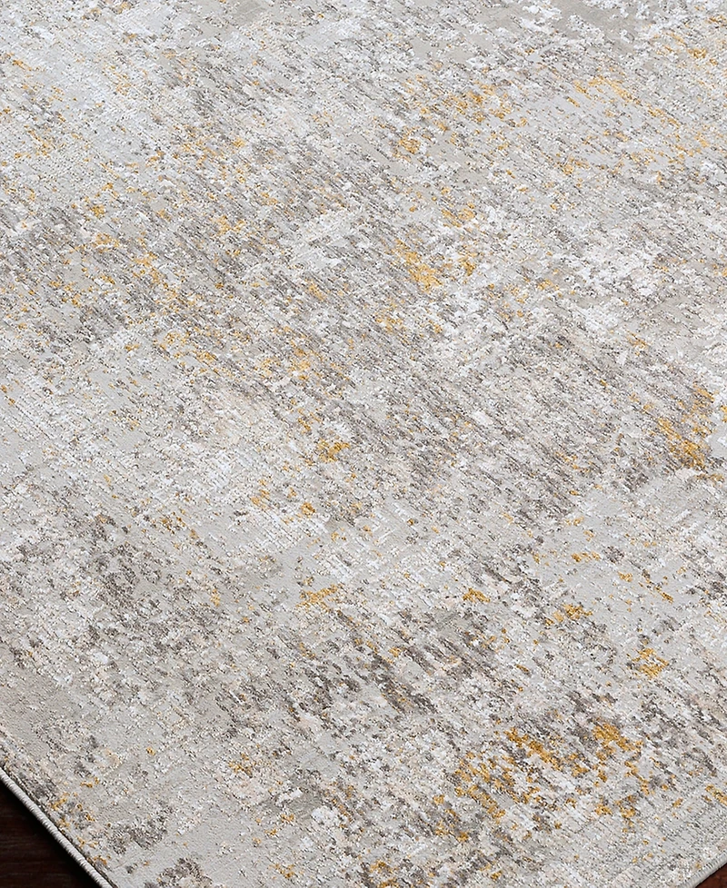 Livabliss Carmel Crl-2314 2'7x4' Area Rug