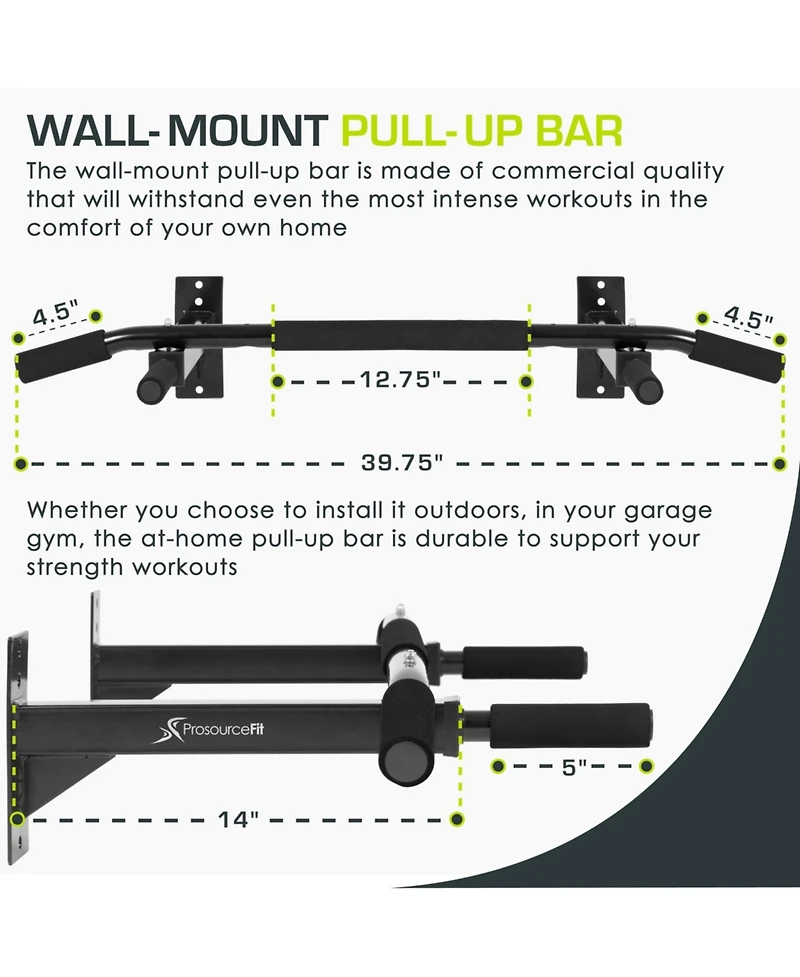 Wall Mount Pull-Up Bar