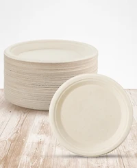 Cheer Collection 9 Inch Paper Plates