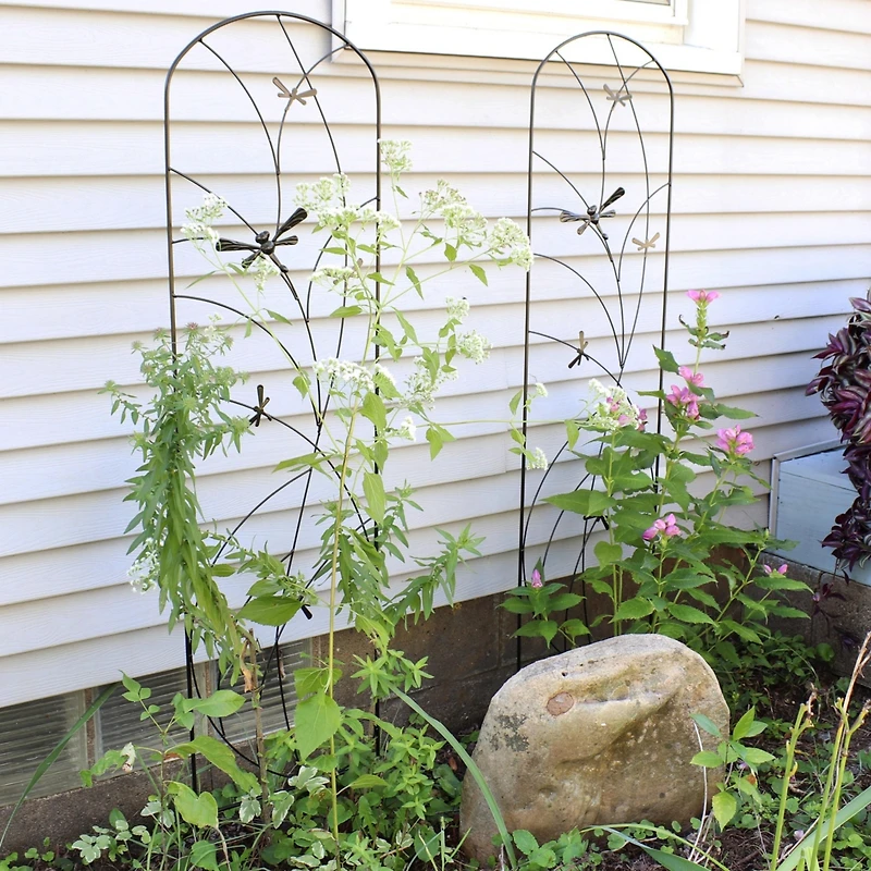 Decorative Steel Metal Dragonfly Delight Design Garden Trellis - 55.75" H - Black - 2-Pack