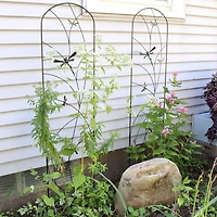Decorative Steel Metal Dragonfly Delight Design Garden Trellis - 55.75" H - Black - 2-Pack
