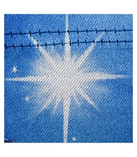Holy Night Nativity Garden Lustre Flag
