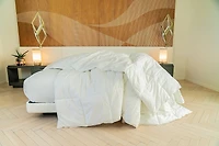FluffCo Down Alternative Comforter - Queen