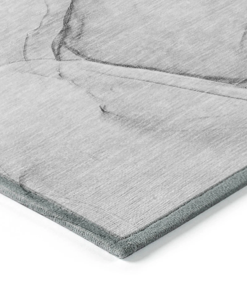 Addison Chantille Machine Washable ACN502 2'6x3'10 Area Rug