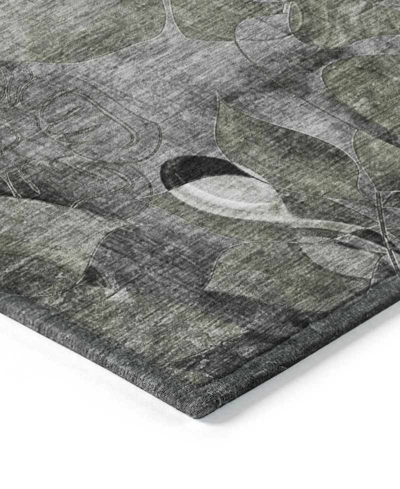 Addison Chantille Machine Washable ACN558 2'6x3'10 Area Rug