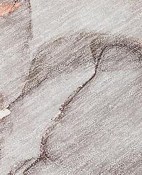 Addison Chantille Machine Washable ACN519 2'6x3'10 Area Rug