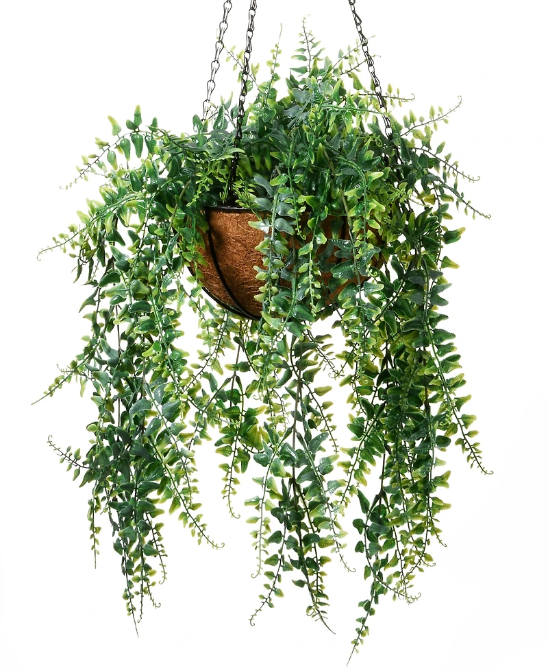National Tree Company 21 Fern Leaves Hanging Basket