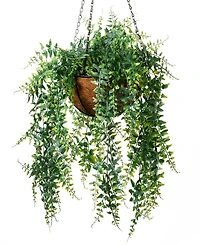 National Tree Company 21 Fern Leaves Hanging Basket