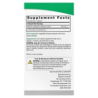 Nature's Answer Mullein Leaf 500 mg - 90 Vegetarian Capsules